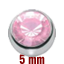sksz5-pi-b.png